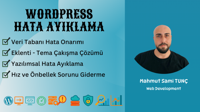 wordpress sistemlerinde yazılımsal hata çözümlüyorum