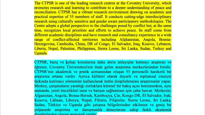 İngilizce-Türkçe çevirilerinizi yaparım