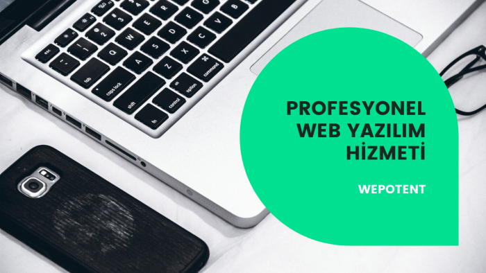 sizlere web sitesi yapabilirim