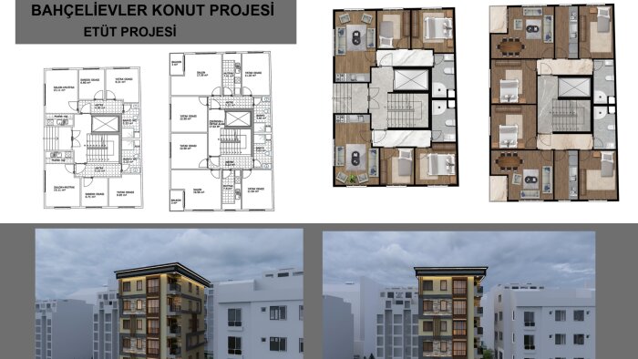 mimari bir plan , kesit ,  3d görseller  yapabilirim