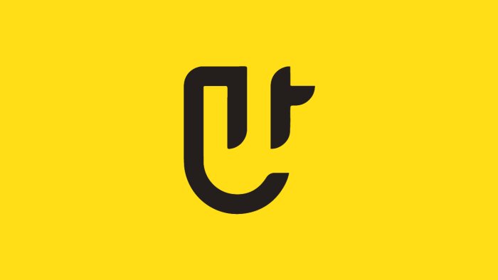 yenilikçi, profesyonel logo tasarımı yaparım
