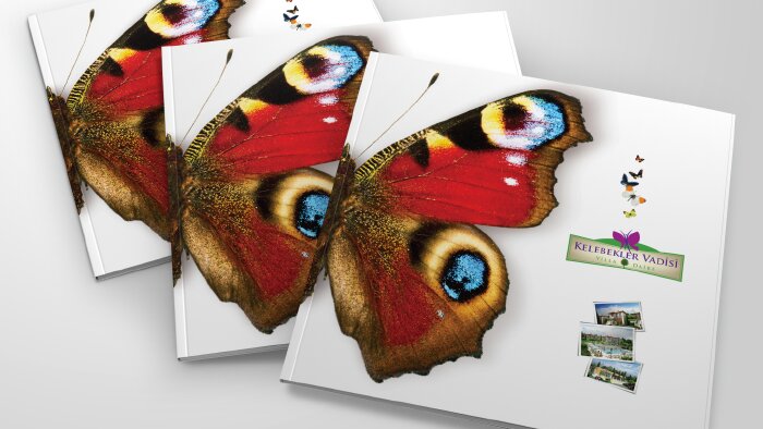 katalog tasarımlarınızı yapabilirim