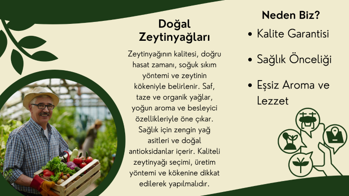 firmanız için profesyonel broşürler tasarlarım