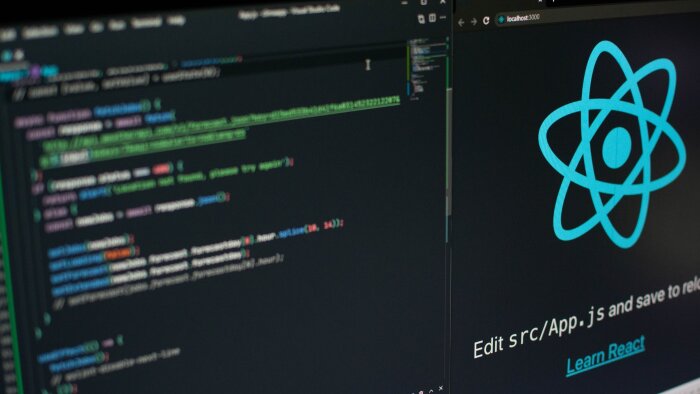 reactjs ve vuejs ile web siteleri kodlayabilirim