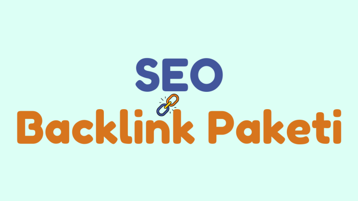 yüksek kalite backlink hizmeti veririm