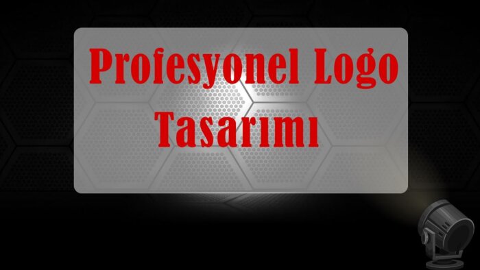 firmanıza özel modern ve kurumsal logo tasarlayabilirim