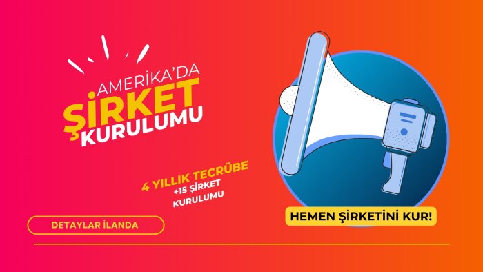 Amerika'da LLC şirket kurulumu danışmanlığı veriyorum