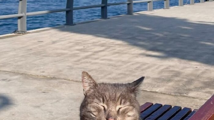 veri girişlerinizi hızlı ve güvenilir şekilde yapıyorum