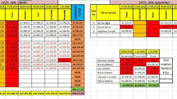 Excel veri girişi, raporlama ve dosya geliştirme   yapıyorum