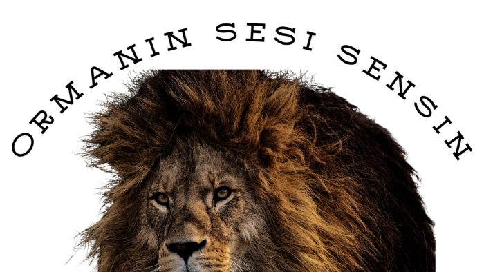 Canva da düzenlemeler yapıyorum