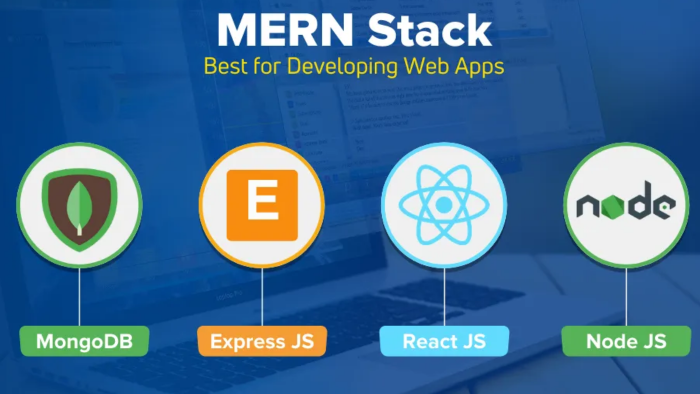 sizin kendi özel web sitenizi Full-Stack kodlayabilirim