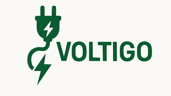 profesyonel ve akılda kalıcı bir logo tasarlarım