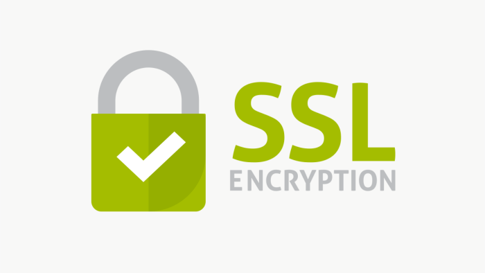 web sitenize SSL sertifikası kurarım
