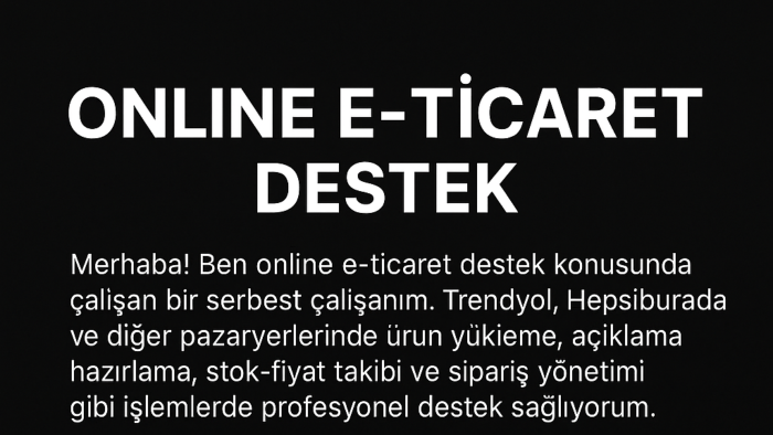 işlerinizi hızlandırmanızı sağlayarak asistanlık yapıyorum
