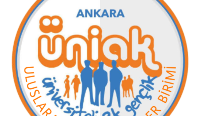 kişiye özel olarak logolar tasarlıyorum