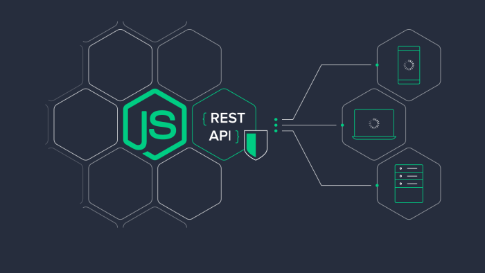 node js  ve vue js ile api geliştirme yapıyorum