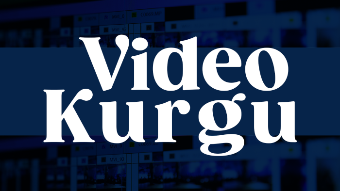 videolarınıza profesyonel edit yapabilirim