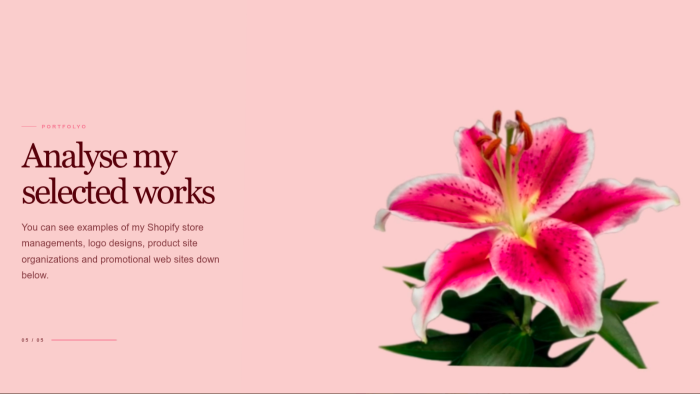 Shopify'da 3D efektli interaktif web sitesi tasarlarım