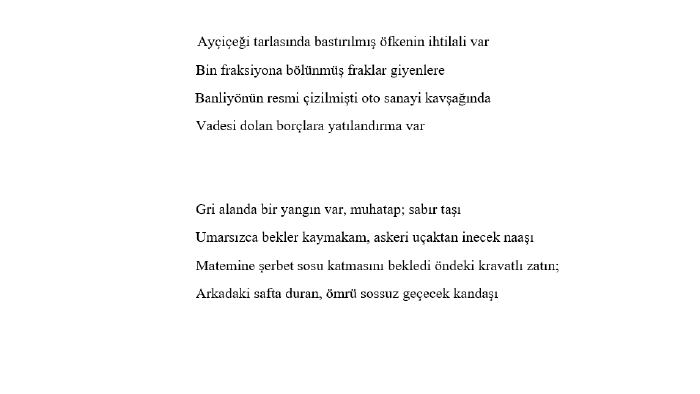 her türde metin yazabilirim