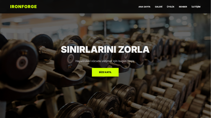 modern ve mobil uyumlu web siteleri tasarlarım