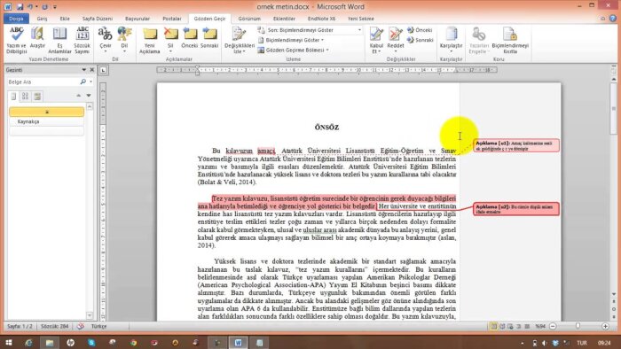 editörlük yaparım