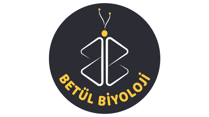 uygun fiyata istediğiniz gibi vektörel logo tasarlarım