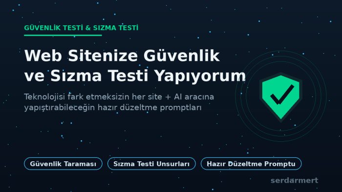 web sitenize güvenlik ve sızma testi yapıyorum