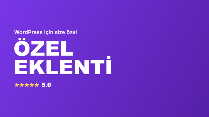 WordPress sitenize özel eklenti geliştiririm