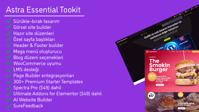 size Astra Essential temayı lisanslı olarak kurarım