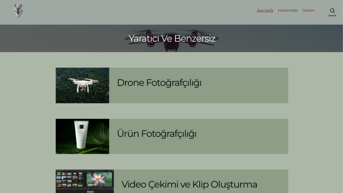 wordpress kullanarak web sitenizi oluşturabilirim