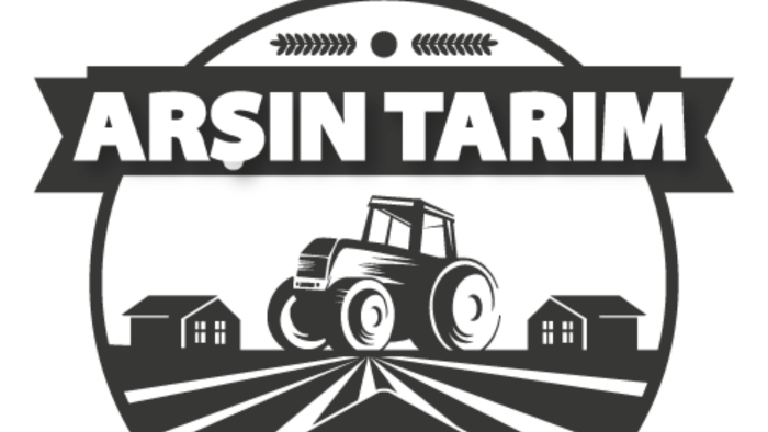logonuzu tasarlayabilirim