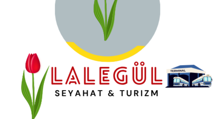 logo tasarımı uzmanlığı yaparım