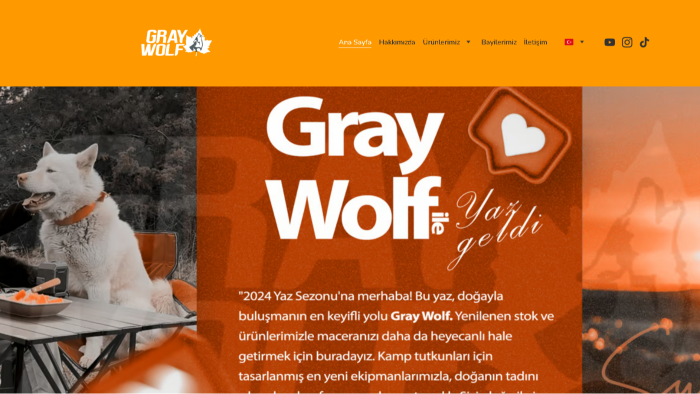 hazır şablonları özelleştirerek size web sitesi yapabilirim