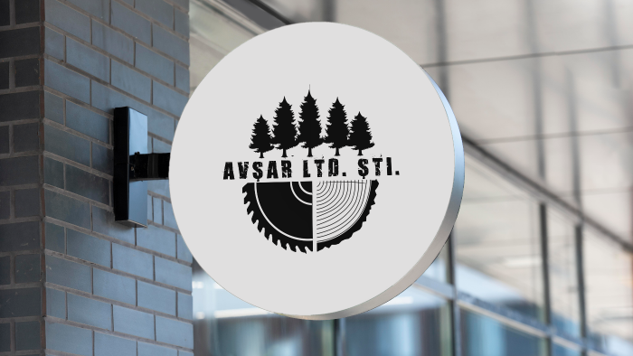 size özgün ,etkileyici ve modern logo tasarımı yapıyorum