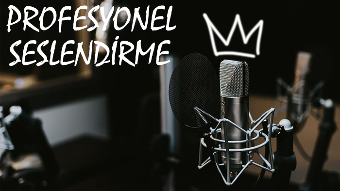 reklam, santral ve video anlatımlı seslendirme yapabilirim