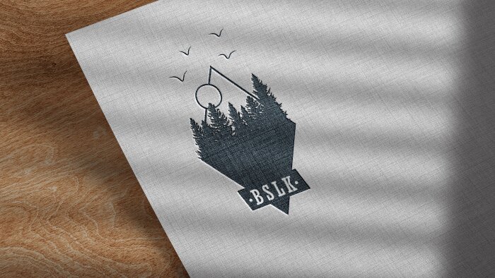 sizler için profesyonel, minimal LOGO'lar tasarlarım