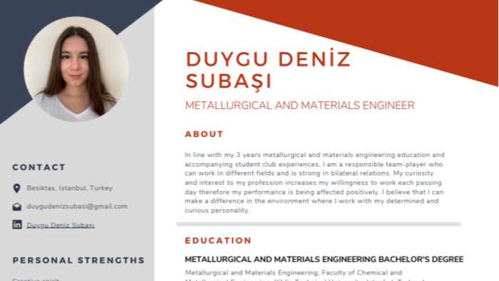 profesyonelce çeşitli meslekler için CV hazırlıyorum