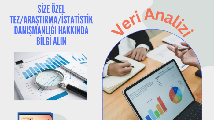 bilimsel araştırma verilerini analiz ederim
