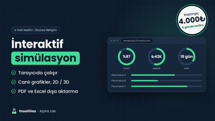 interaktif web simülasyonu ve hesaplama aracı geliştiririm
