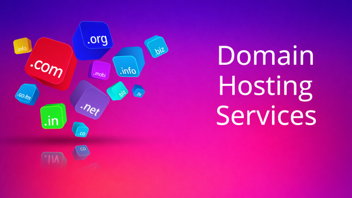 domain ve hosting kurulumunuzu anahtar teslim yaparım