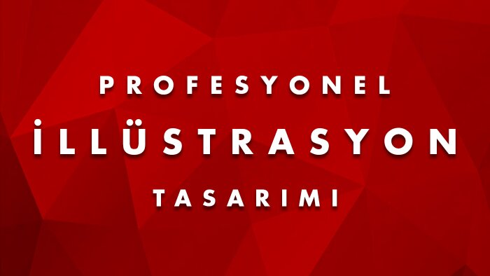 dilediğiniz tarzda çizim yapabilirim