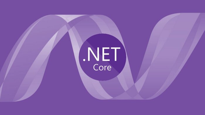 .net core web projesi yapabilirim