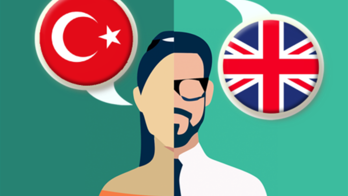 ingilizce-türkçe türkçe-ingilizce çeviri yaparım