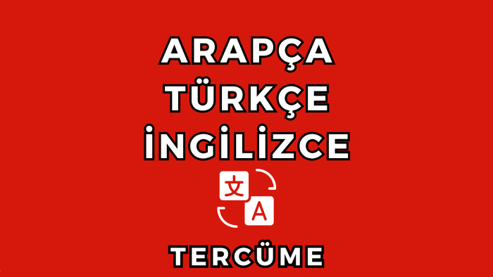 İngilizce Fransızca metin çevirisi yaparım