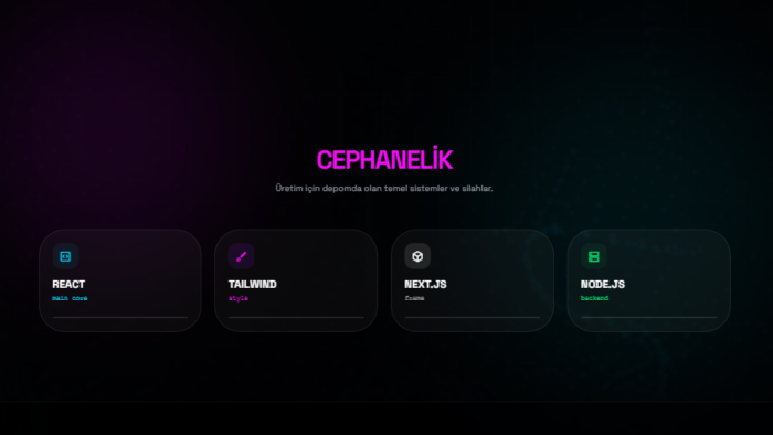 gelirinizi arttıracak etkileyici web projeleri oluştururum