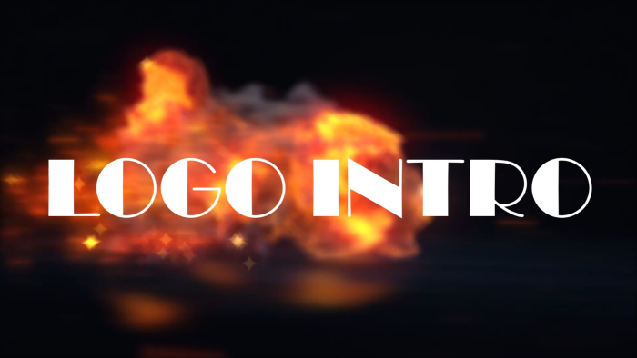 size intro hazırlayabilirim