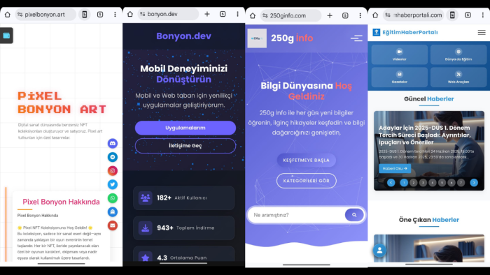 Orta ve İleri düzeyde WEB Sitesi yapıyorum