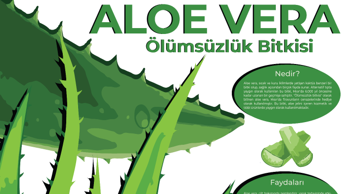 profesyonel ve modern infografikler tasarlıyorum