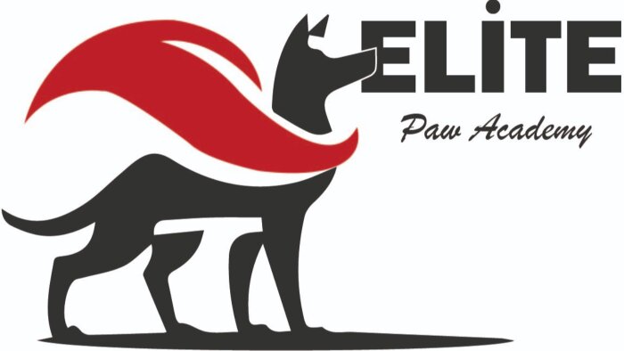 illüstrasyon tabanlı logo tasarımları yapıyorum