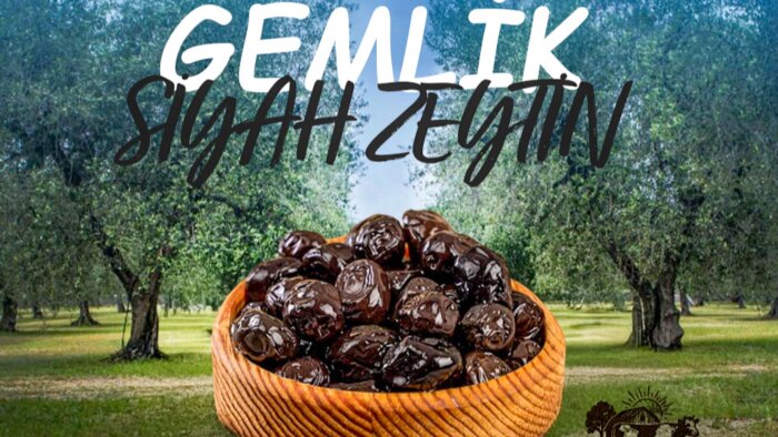 sizin ürünlerinize özel tasarım yapabilirim